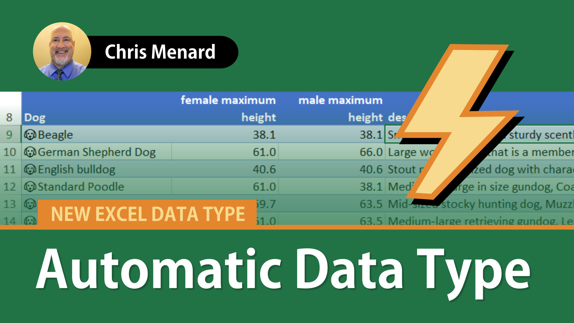 Excel Automatic Data Type: Dog Breeds and Diseases