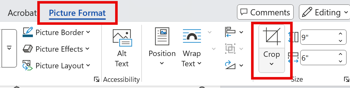 Word - Crop Tool