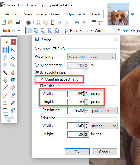 resize image in word