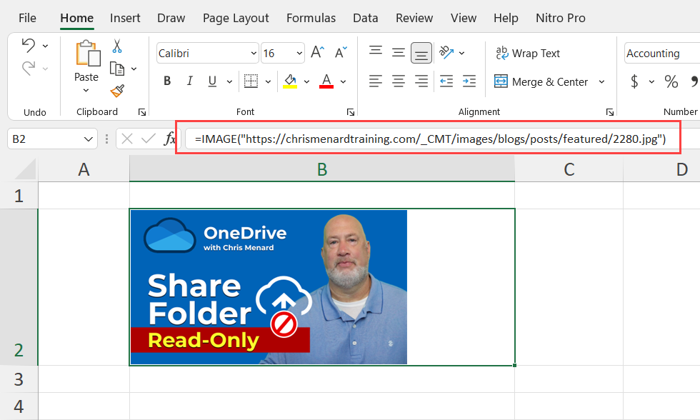 Excel IMAGE function Excel IMAGE function