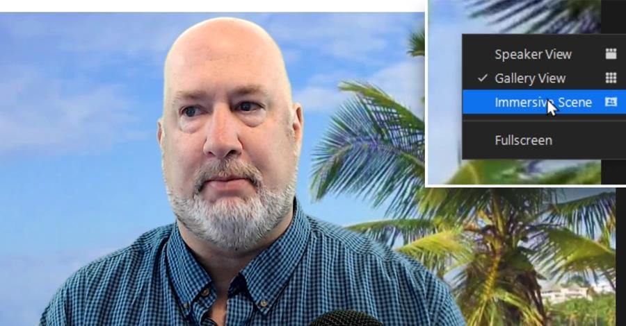 Turning on Immersive View during a Zoom Meeting Turning on Immersive View during a Zoom Meeting