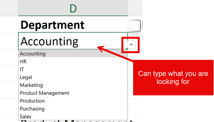 Type in the Data Validation list Type in the Data Validation list