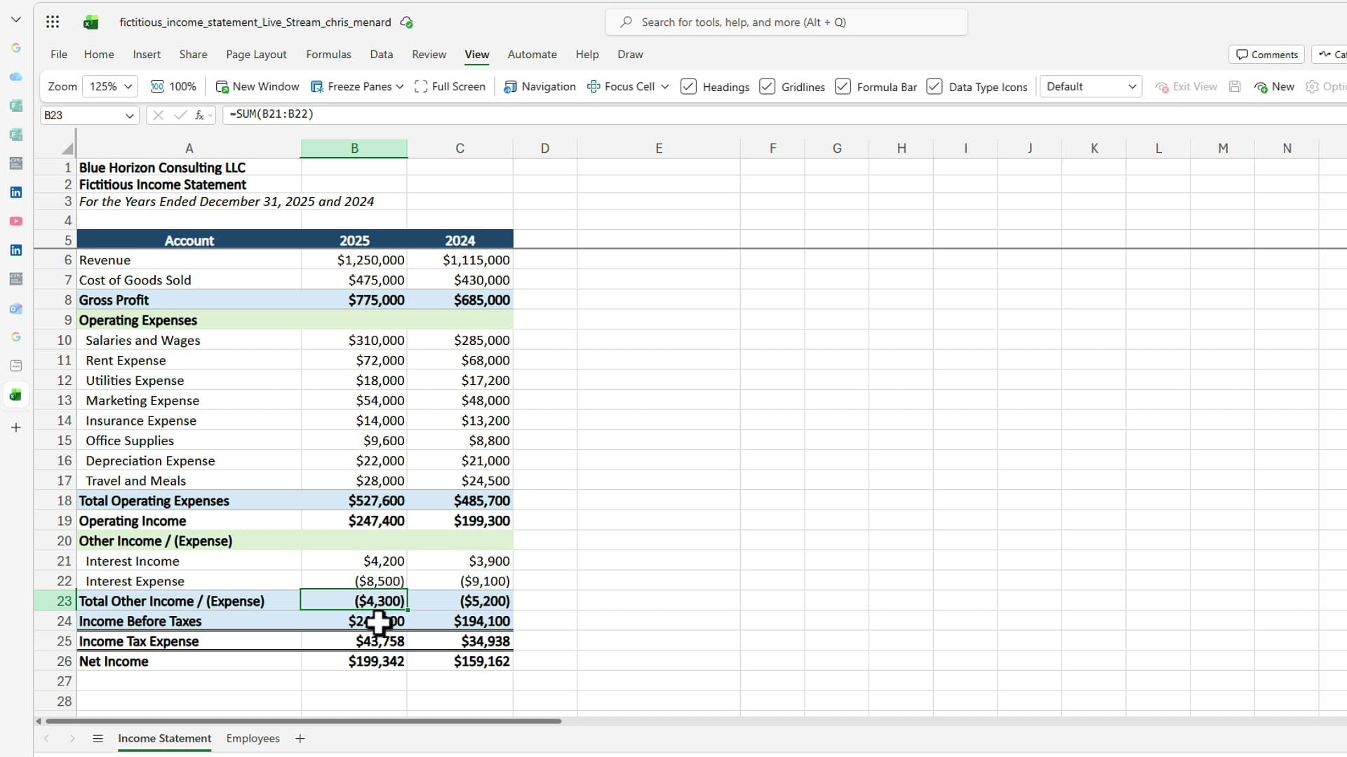 Fictitious income statement in Excel showing 2025 and 2024 data