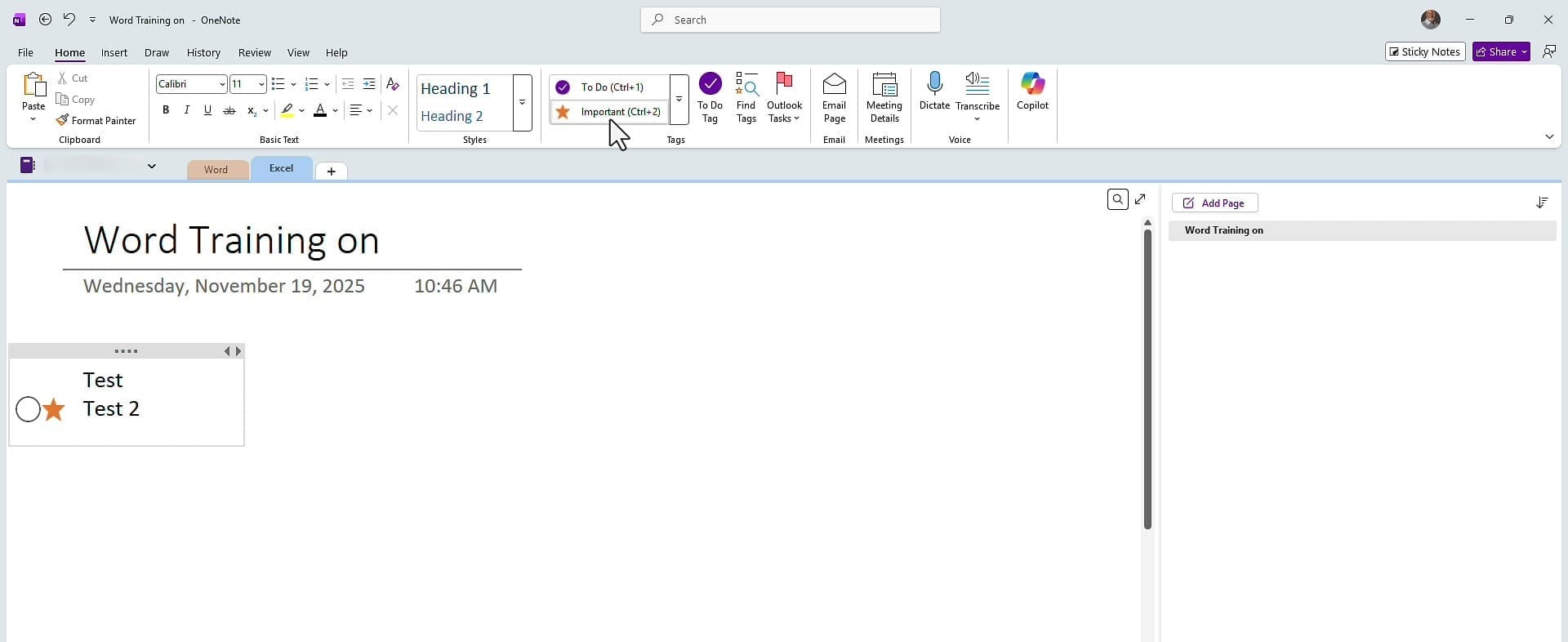 OneNote Excel section showing an item with both a To Do checkbox and an Important star tag applied