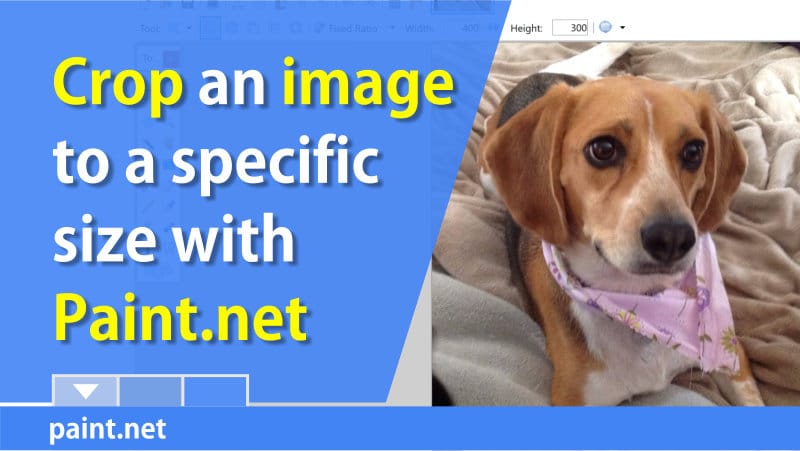 Crop a picture to a specific size with Paint.Net
