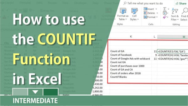 COUNTIF Function in Excel